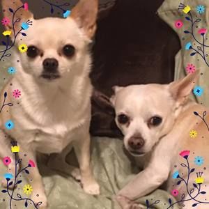 Meet your Posher, Clarissa